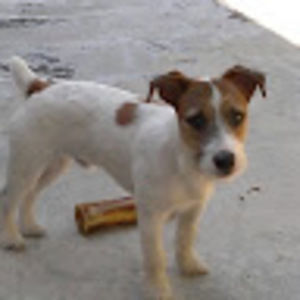 Meet your Posher, Brett